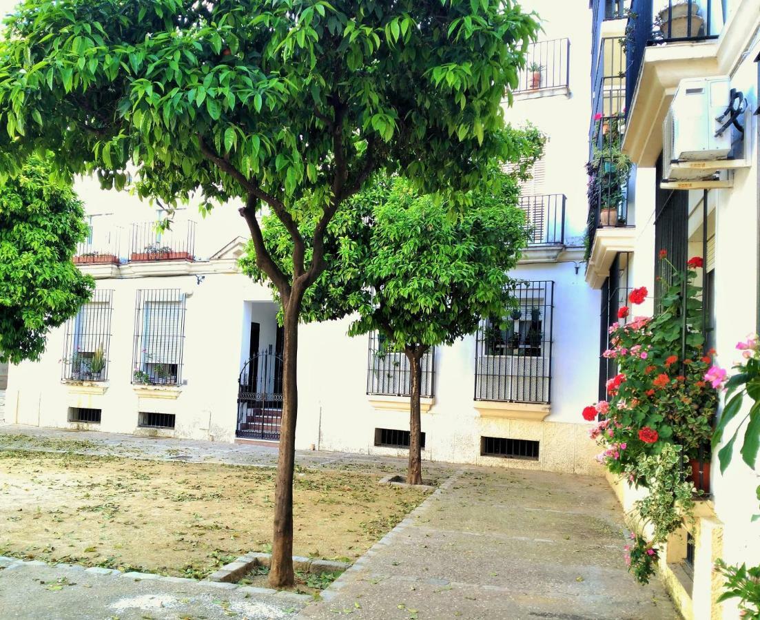 Apartamento Plaza Compania Jerez Jerez de la Frontera Exteriér fotografie