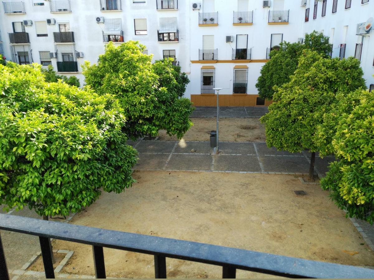 Apartamento Plaza Compania Jerez Jerez de la Frontera Exteriér fotografie