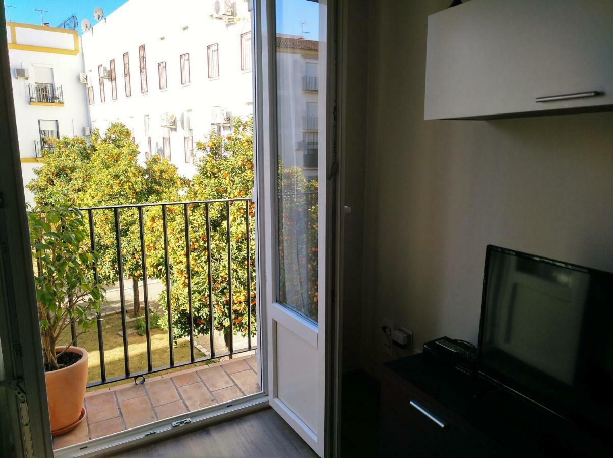 Apartamento Plaza Compania Jerez Jerez de la Frontera Exteriér fotografie